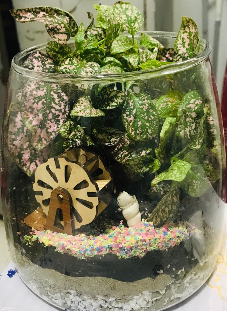 آموزش مقدماتی ساخت تراریوم در پایگاه تابستانی دبستان جاوید