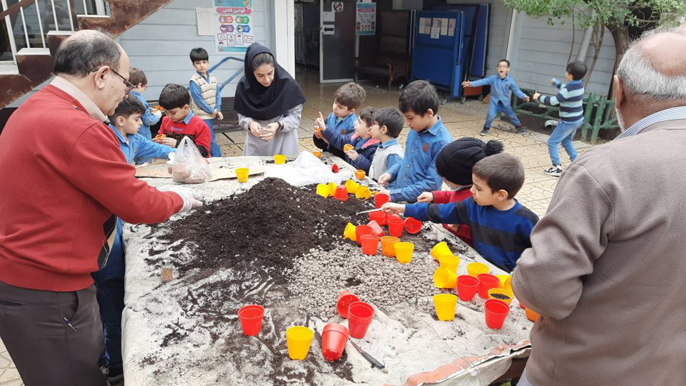 ابتکاری زیبا در مدرسه جاوید؛ کاشت سبزه نوروزی برای تمام دانش‌آموزان توسط خودشان